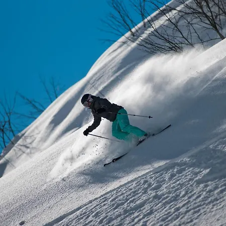 Hotel Alpenresort Fluchthorn