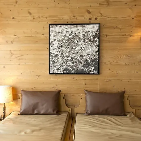 Alpenresort Fluchthorn Отель Гальтюр