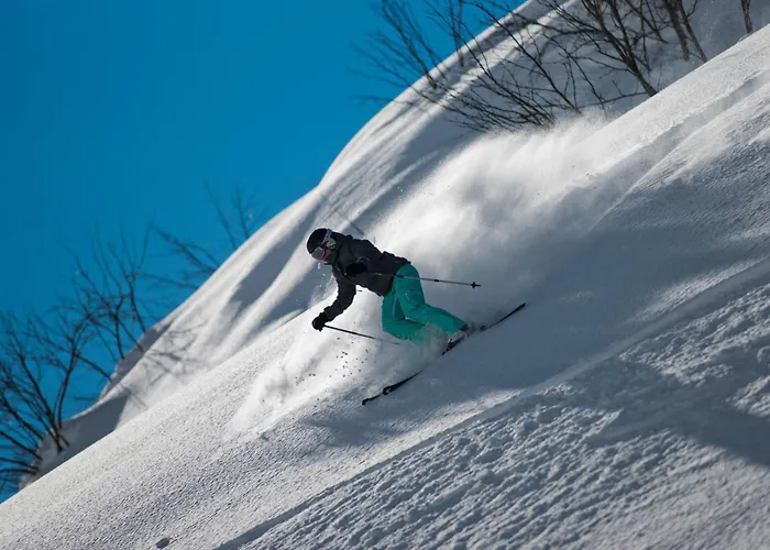 Отель Alpenresort Fluchthorn